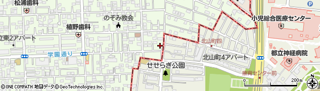 東京都国立市東3丁目19-16周辺の地図