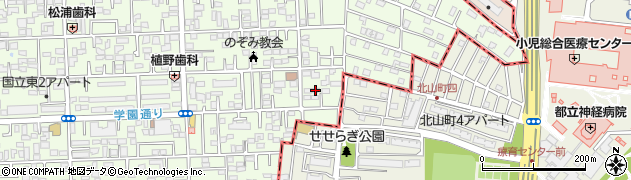 東京都国立市東3丁目19-6周辺の地図