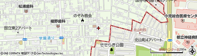 東京都国立市東3丁目19-8周辺の地図