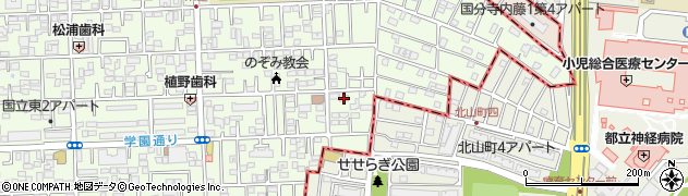 東京都国立市東3丁目19-10周辺の地図