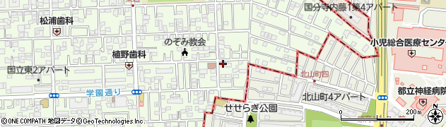 東京都国立市東3丁目19-9周辺の地図