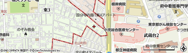 東京都国立市東3丁目33-8周辺の地図