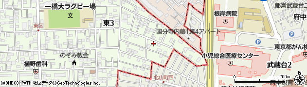 東京都国立市東3丁目24-10周辺の地図
