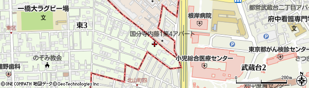東京都国立市東3丁目33-6周辺の地図