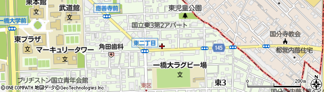 東京都国立市東3丁目6-9周辺の地図