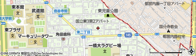東京都国立市東3丁目6-41周辺の地図