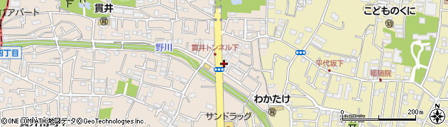 武蔵小金井ハル犬猫病院周辺の地図