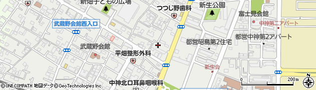 東京都昭島市中神町1166周辺の地図