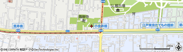 東京都小平市御幸町316周辺の地図