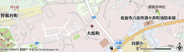 千葉県佐倉市大蛇町206周辺の地図