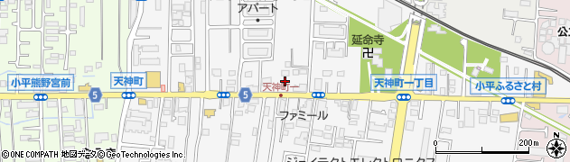 東京都小平市天神町2丁目17周辺の地図