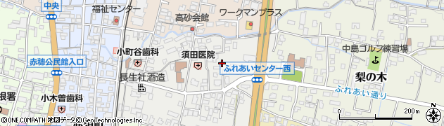 長野県駒ヶ根市赤須東周辺の地図