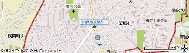 ひばりケ丘駅入口周辺の地図