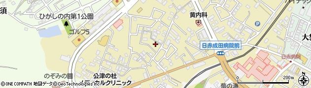 千葉県成田市飯田町132周辺の地図