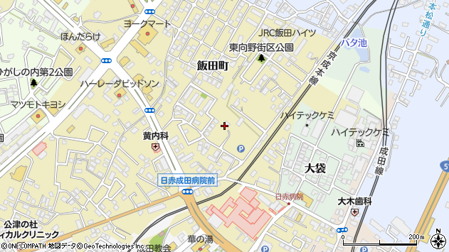 〒286-0041 千葉県成田市飯田町の地図