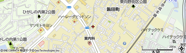 千葉県成田市飯田町167周辺の地図