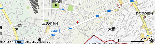 千葉県松戸市二十世紀が丘萩町199周辺の地図