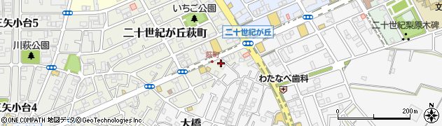 千葉県松戸市二十世紀が丘萩町263周辺の地図