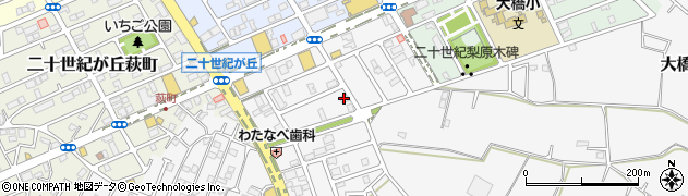 千葉県松戸市二十世紀が丘丸山町19周辺の地図