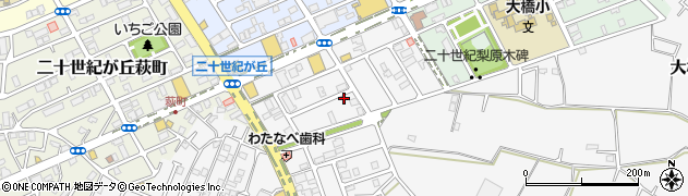 千葉県松戸市二十世紀が丘丸山町18周辺の地図