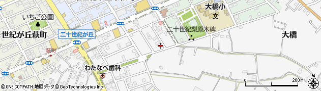 千葉県松戸市二十世紀が丘丸山町53周辺の地図