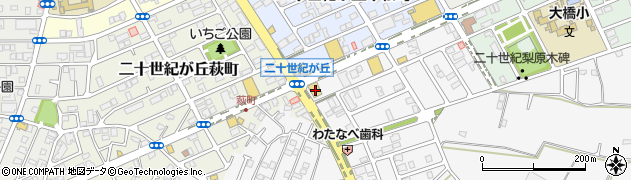 千葉県松戸市二十世紀が丘丸山町33周辺の地図