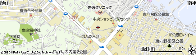 千葉県成田市飯田町148周辺の地図