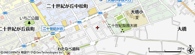 千葉県松戸市二十世紀が丘丸山町60周辺の地図
