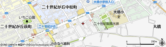 千葉県松戸市二十世紀が丘丸山町61周辺の地図