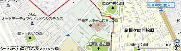 東京都羽村市五ノ神周辺の地図