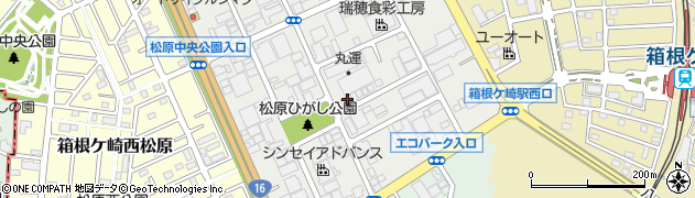 東京都西多摩郡瑞穂町箱根ケ崎東松原周辺の地図