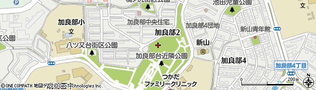 千葉県成田市加良部周辺の地図