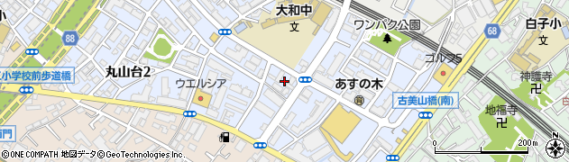 埼玉県和光市丸山台2丁目9周辺の地図