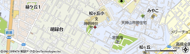 千葉県松戸市松戸新田164周辺の地図