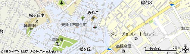 千葉県松戸市松戸新田529周辺の地図