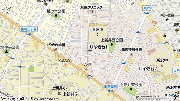 〒359-1118 埼玉県所沢市けやき台の地図
