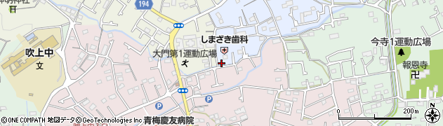 東京都青梅市谷野56周辺の地図