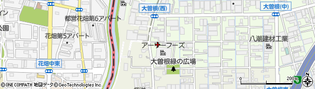 埼玉県八潮市大曽根1306周辺の地図