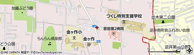 千葉県松戸市金ケ作305-3周辺の地図