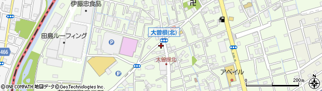 埼玉県八潮市大曽根1113周辺の地図
