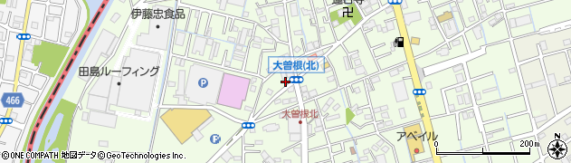 埼玉県八潮市大曽根1116周辺の地図