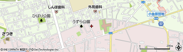 千葉県松戸市金ケ作234-20周辺の地図