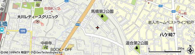 千葉県松戸市馬橋2894周辺の地図
