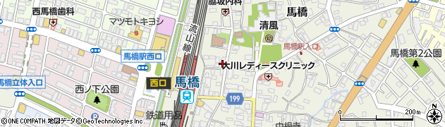 千葉県松戸市馬橋306周辺の地図