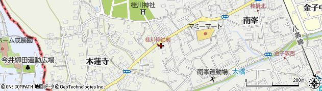 埼玉県入間市南峯243周辺の地図