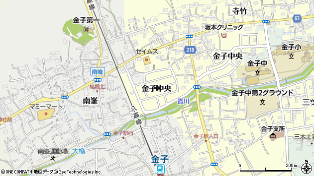 〒358-0048 埼玉県入間市金子中央の地図