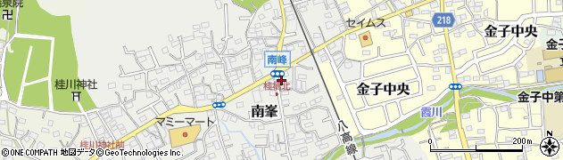埼玉県入間市南峯126周辺の地図