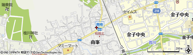 埼玉県入間市南峯周辺の地図