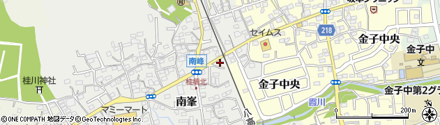 埼玉県入間市南峯113周辺の地図