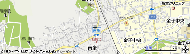 埼玉県入間市南峯118周辺の地図